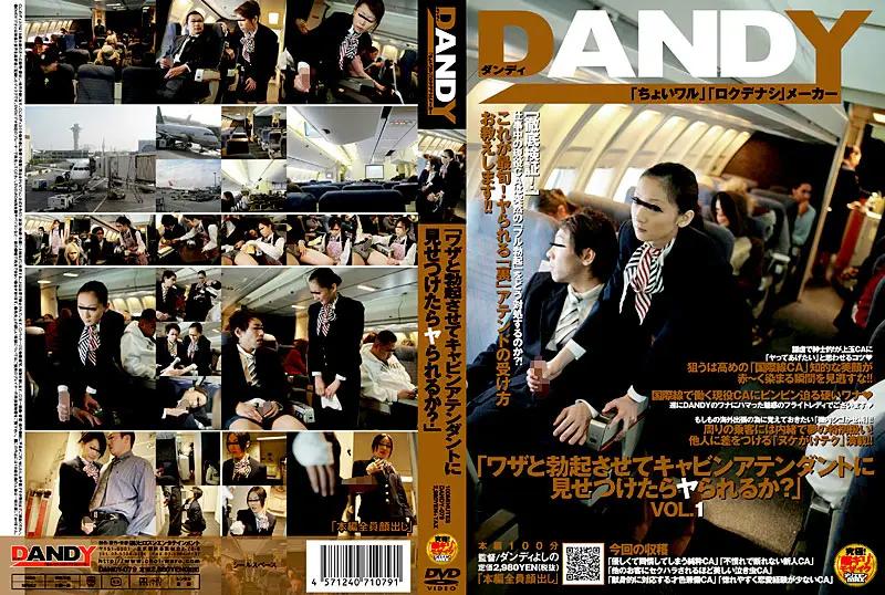 DANDY-079 You Think If I Got Hard On Purpose And Showed It To A Flight Attendant She'd Fuck Me?